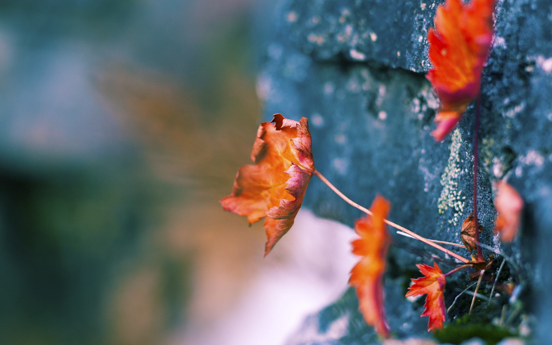 开云下载-星辰舞步，欧文季后赛之夜征服全场